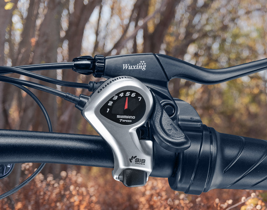 Shimano 7 Speed