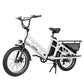 Electric Cargo Long-Range eBike