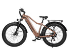 Ranger 2.0 Step-Over Electric Mountain Bike