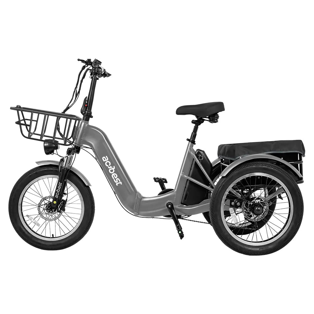 Triker Folding 3 Wheels Electric Bike