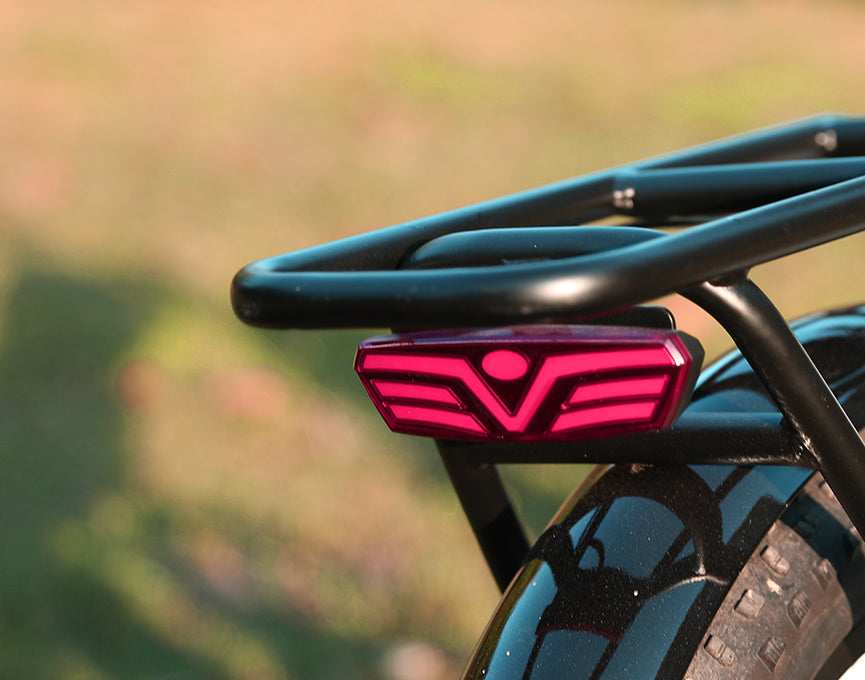 Safe Tail Light
