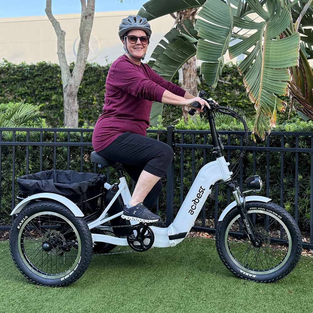 Triker Folding 3 Wheels Electric Bike