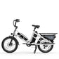 Electric Cargo Bike