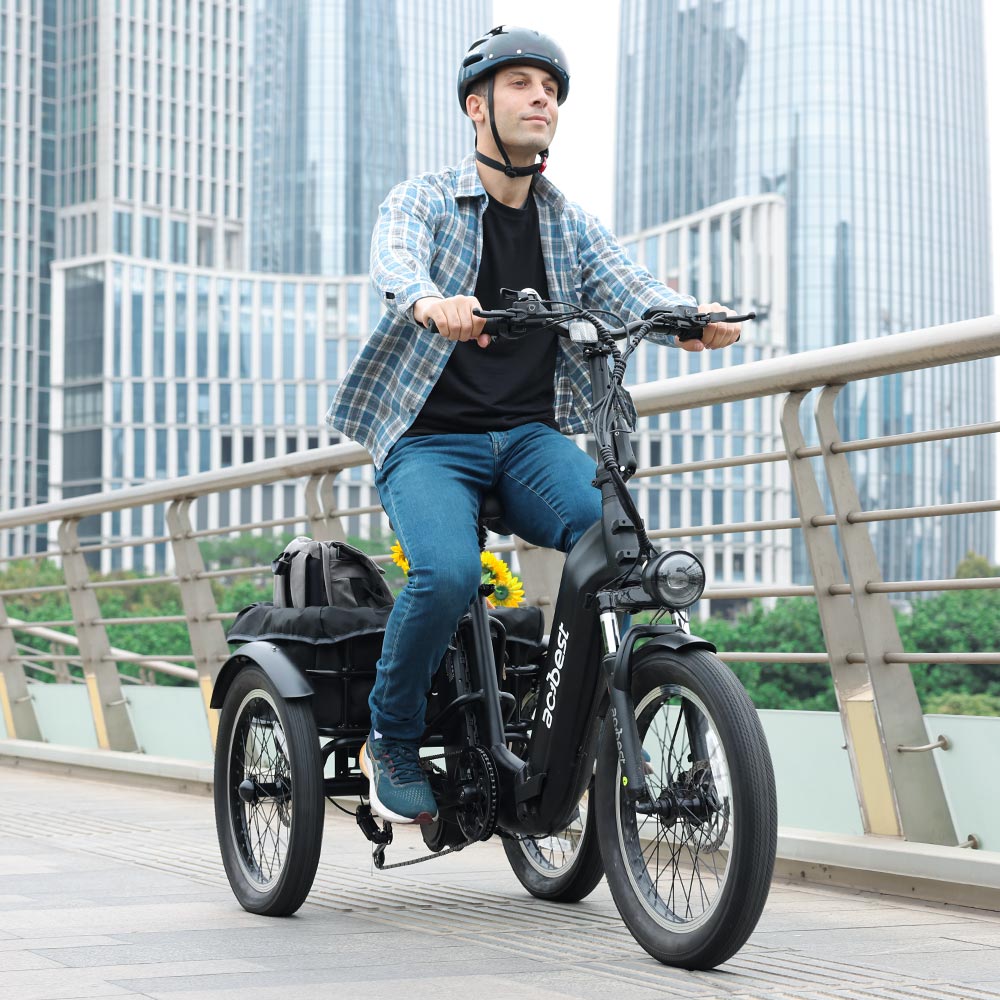 Triker Folding 3 Wheels Electric Bike actbest