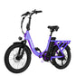 Mars Folding Electric Bike for Adults