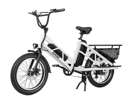 Electric Cargo Long-Range eBike