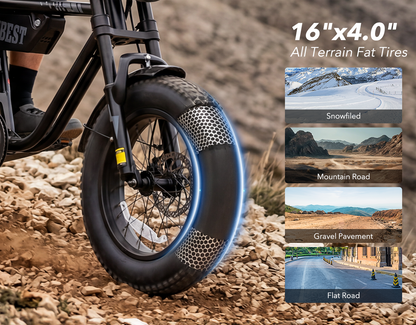 Blaze Plus 16"x4.0" 30MPH E-Bike for Teens