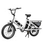 Electric Cargo Long-Range eBike