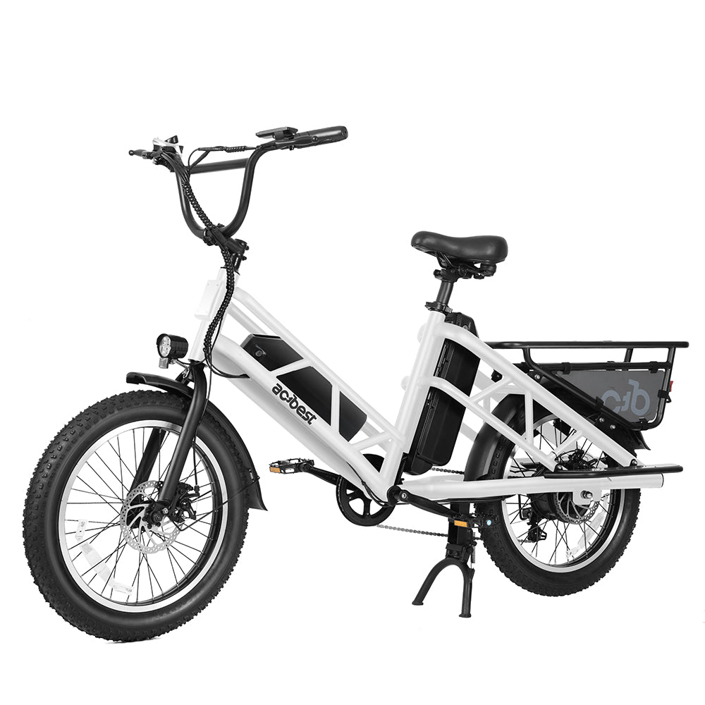 Electric Cargo Long-Range eBike