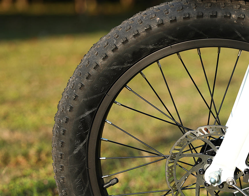 20"X3.0 Tire for All Terrain