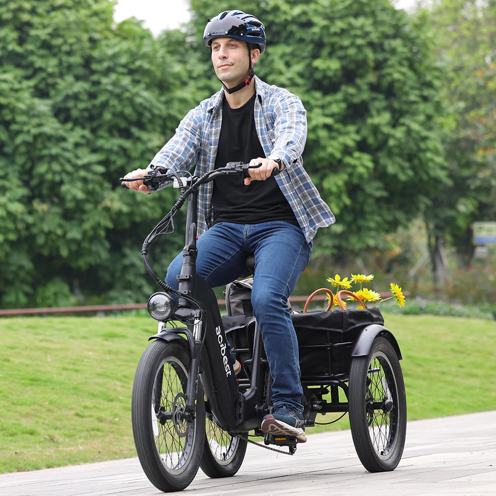 Triker Folding 3 Wheels Electric Bike