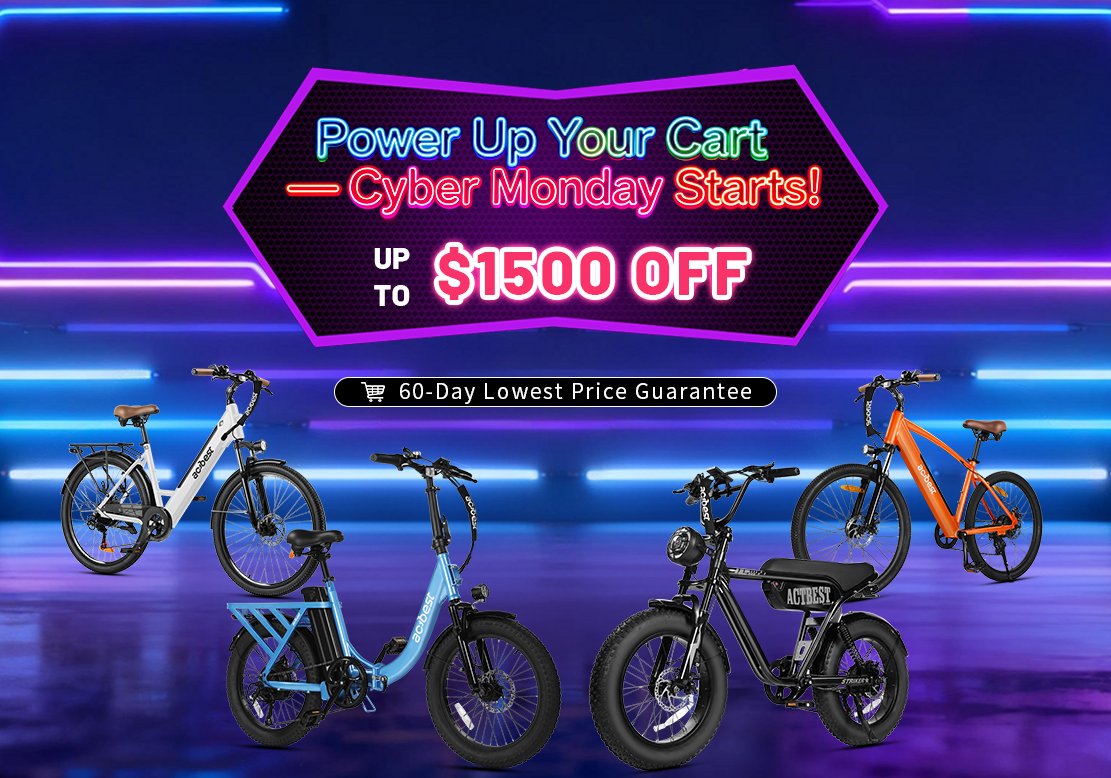 Fat Tire Electric Bike