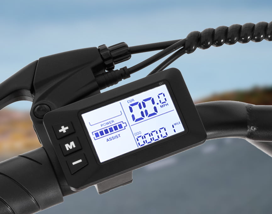 LCD Screen