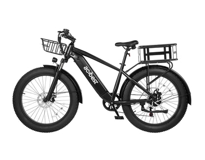 Ranger All-Terrain Mountain Ebike