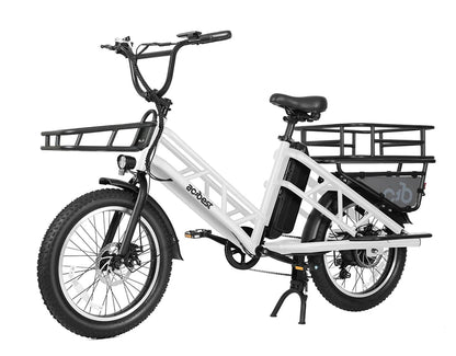 Electric Cargo Long-Range eBike