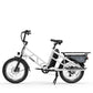 Electric Cargo Bike