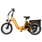 Triker Folding 3 Wheels Electric Bike