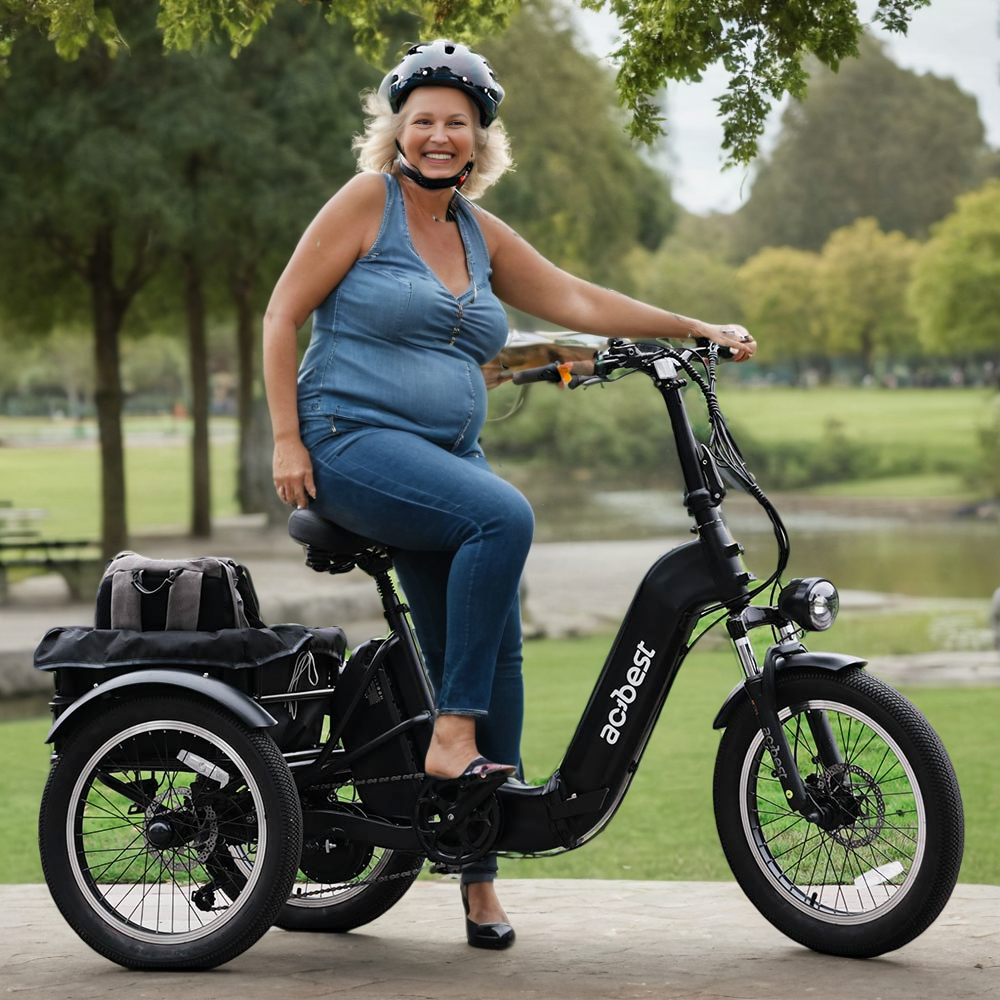 Triker Folding 3 Wheels Electric Bike