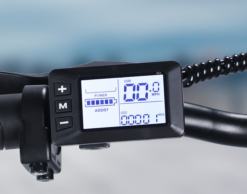 LCD Screen
