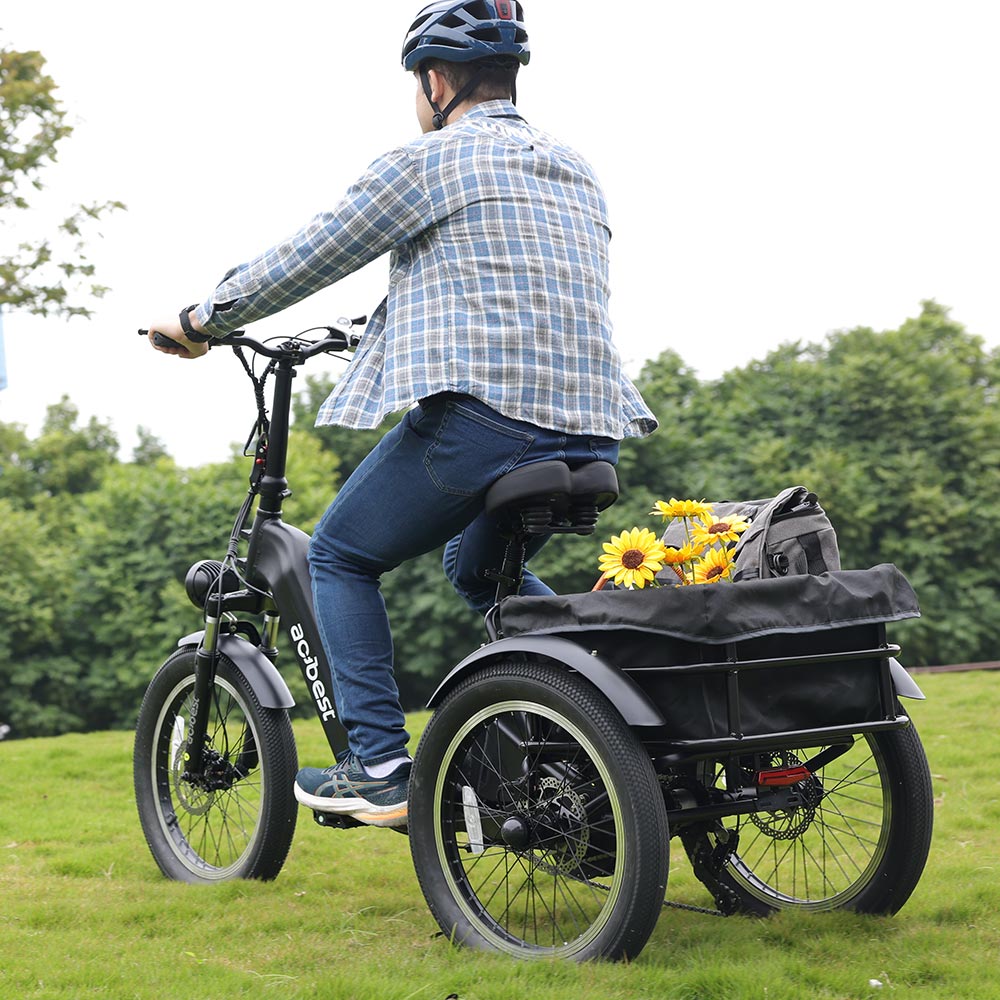 Triker Folding 3 Wheels Electric Bike actbest