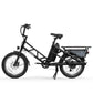 Electric Cargo Long-Range eBike