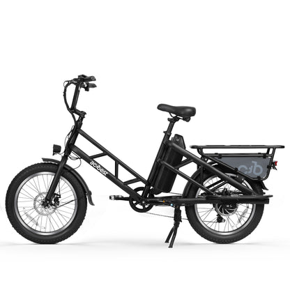 Electric Cargo Long-Range eBike