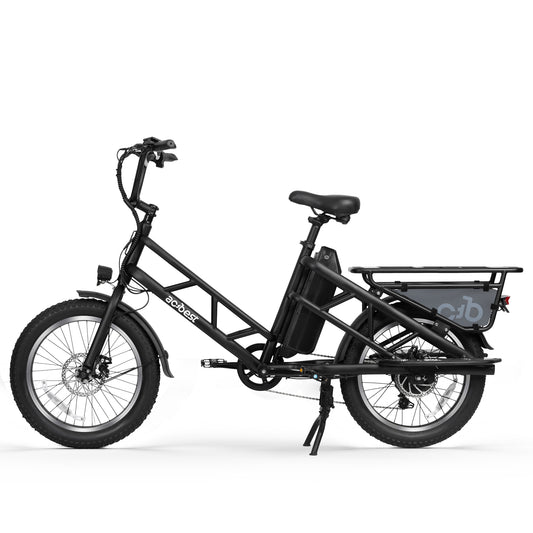 Electric Cargo Bike