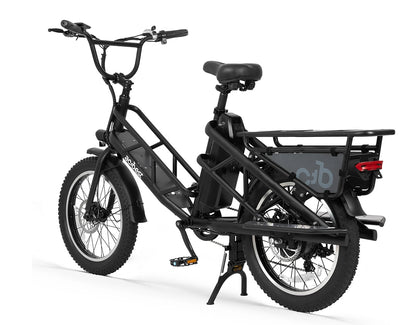 Electric Cargo Long-Range eBike