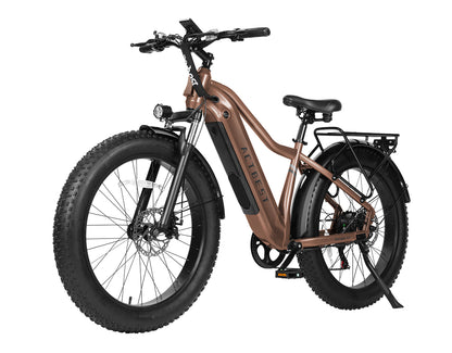 Ranger 2.0 Step-Over Mountain Ebike