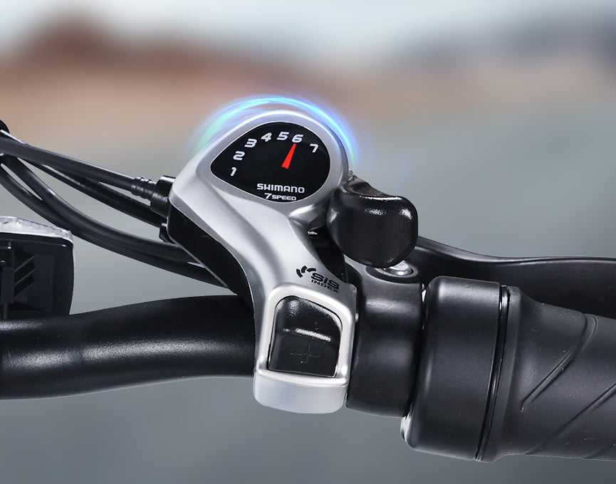 Shimano 7 Speed