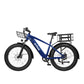 Ranger All-Terrain Mountain Ebike