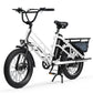 Electric Cargo Bike