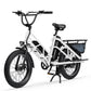 Electric Cargo Bike