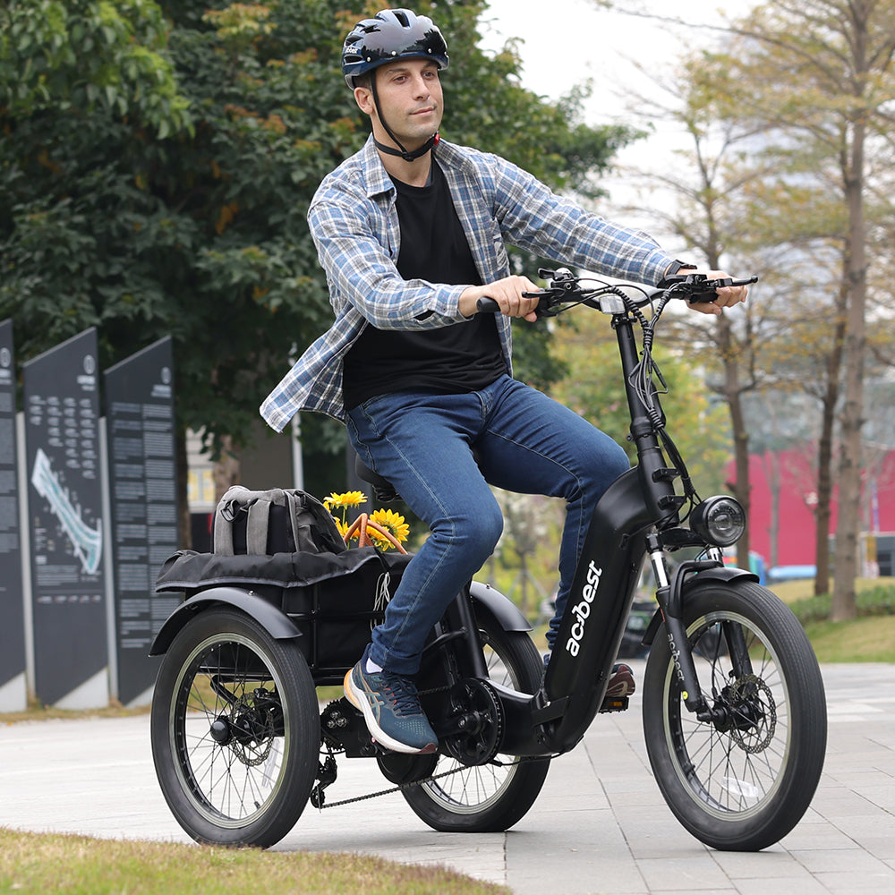 Triker Folding 3 Wheels Electric Bike