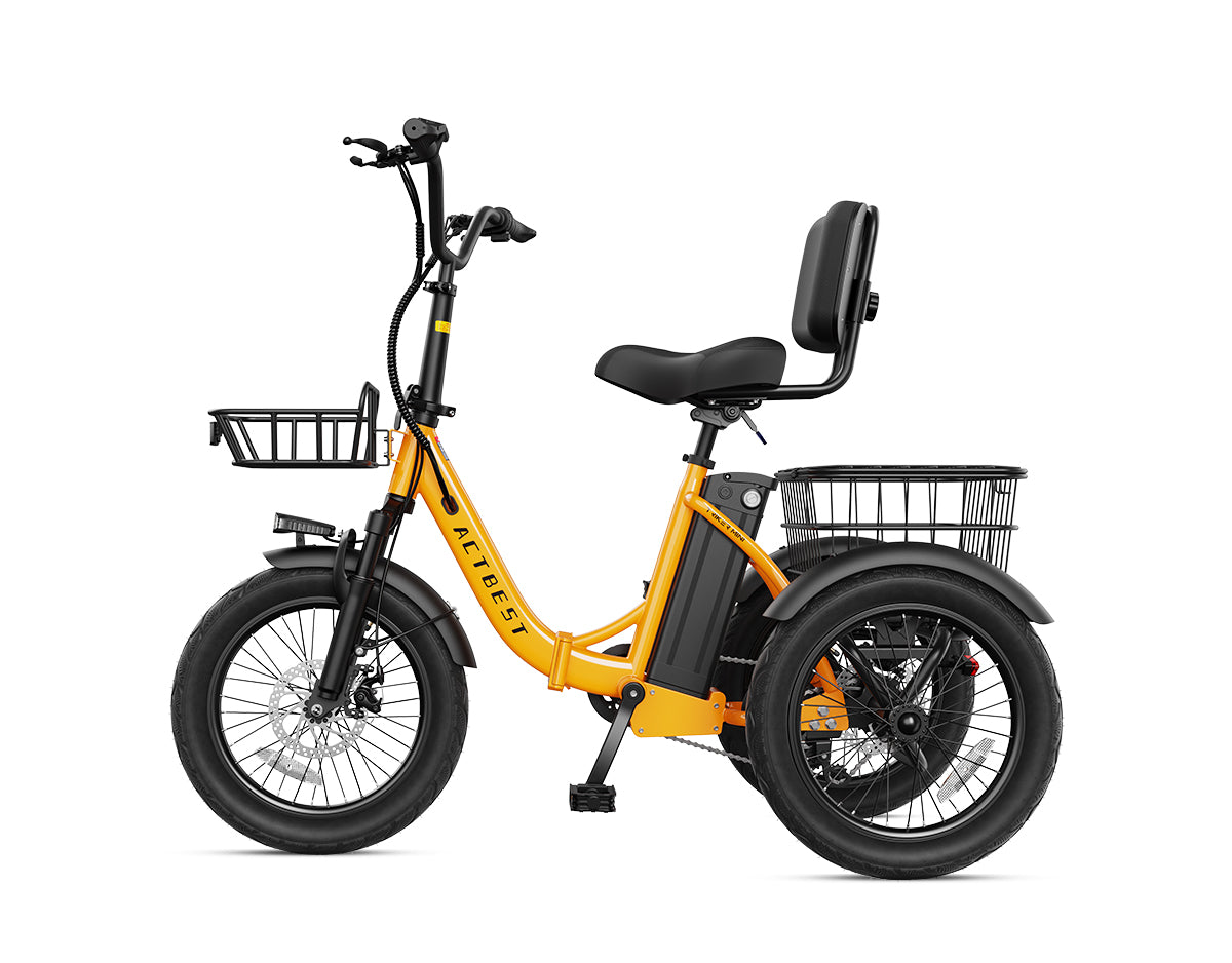 Triker Folding 3 Wheels Electric Bike