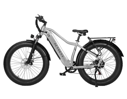 Ranger 2.0 Step-Over Mountain Ebike