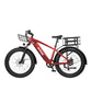 Ranger All-Terrain Mountain Ebike