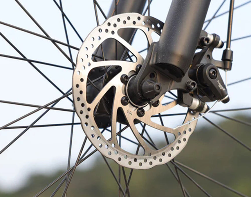Dual Brake System