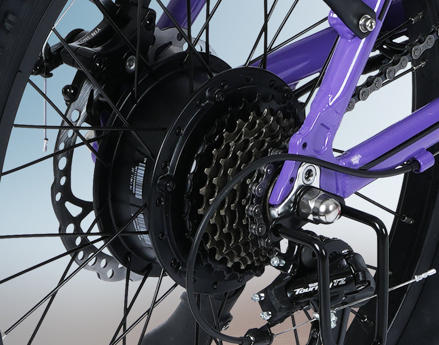 Powerful 750w(peak)Brushless Motor