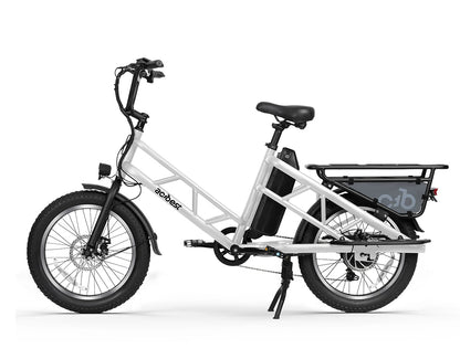 Electric Cargo Long-Range eBike