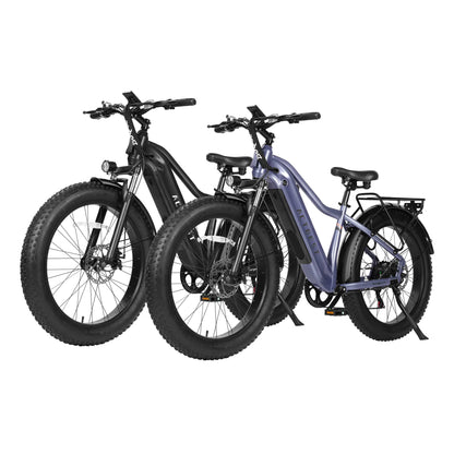 Actbest Ebike® Combo Sale Ranger 2.0*2
