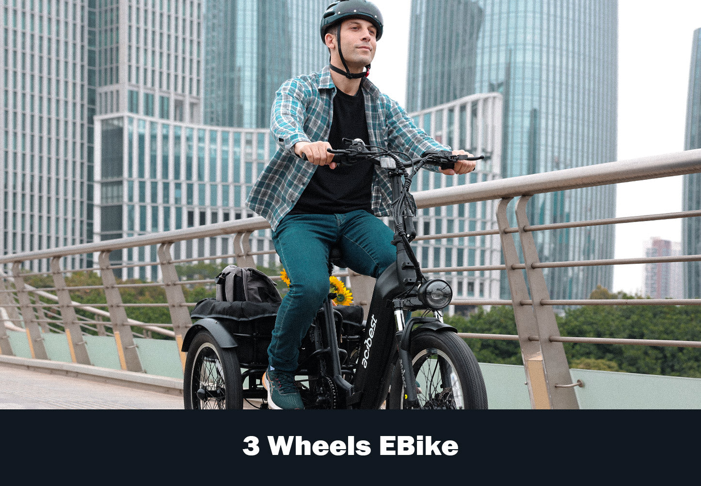 electric tricycle for adults