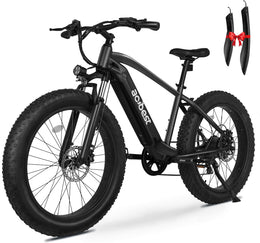 Ranger All-Terrain Mountain Ebike – actbest