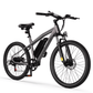 Race Electric Mountain Bike