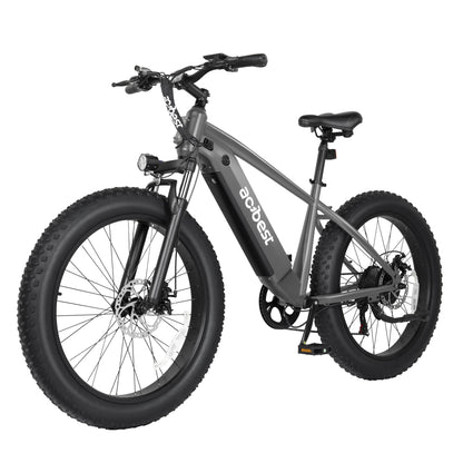 Ranger All-Terrain Mountain Ebike