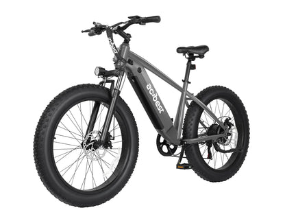 Ranger All-Terrain Mountain Ebike