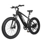 Ranger All-Terrain Mountain Ebike
