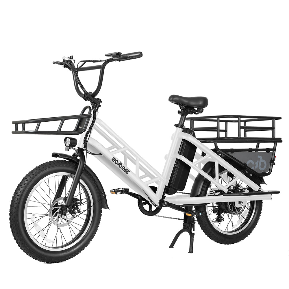 Electric Cargo Long-Range eBike