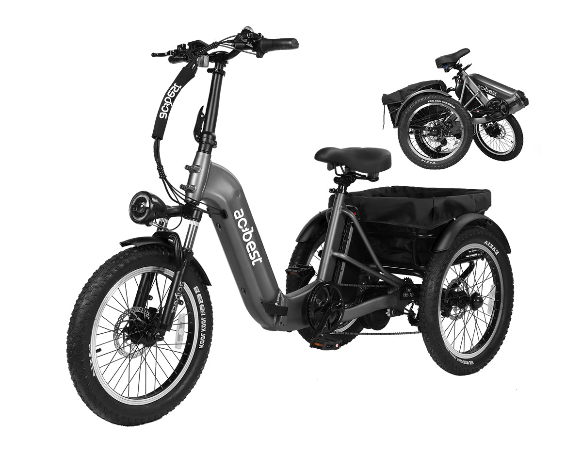 Triker Folding 3 Wheels Electric Bike