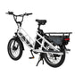 Electric Cargo Bike